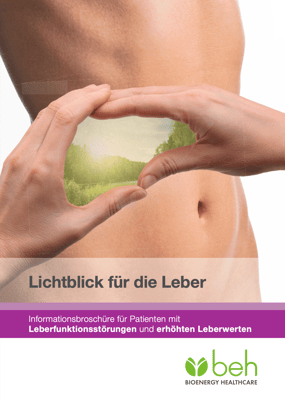 leber-ebook