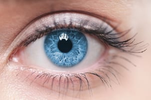 Nährstoffe zur Unterstützung bei altersbedingter Makuladegeneration (AMD) - eine Analyse der AREDS-Studien