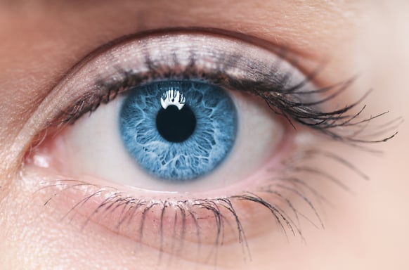 Nährstoffe zur Unterstützung bei altersbedingter Makuladegeneration (AMD) - eine Analyse der AREDS-Studien