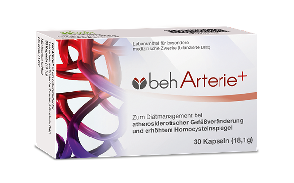 BEH-Arterie