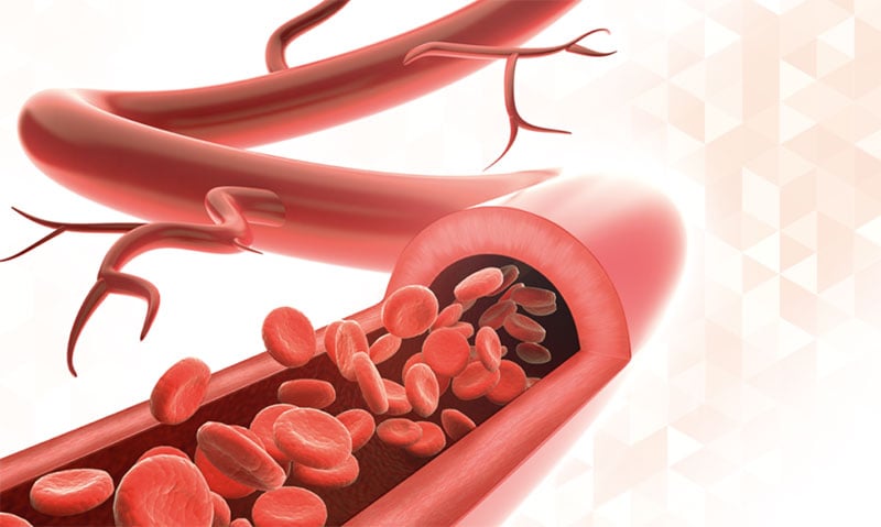 Visual_Lipid