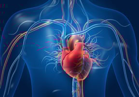 Cholin und Betain: Ihre Rolle bei der Regulation des Homocysteinspiegels